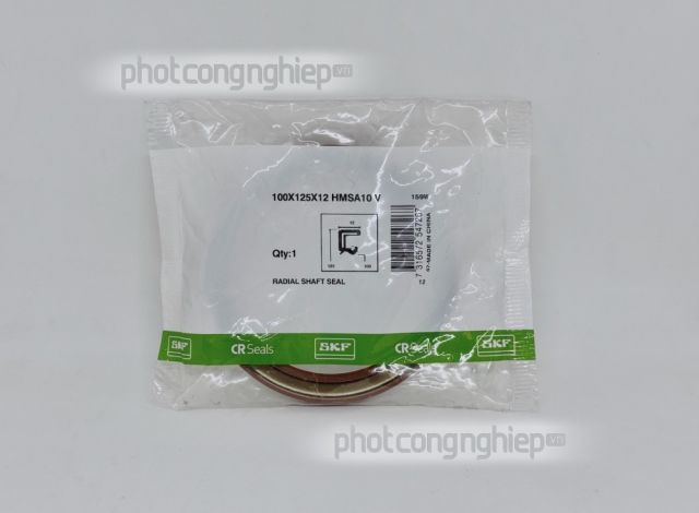 Phớt 100X125X12 HMSA10 V