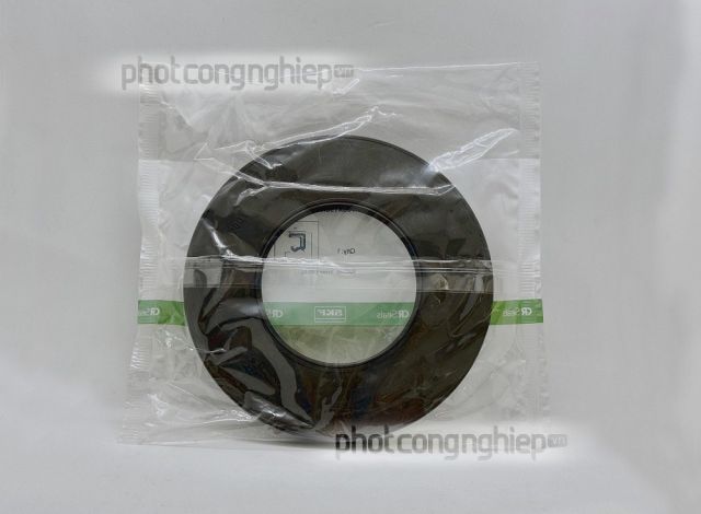 Phớt 100x190x15 HMSA10 RG