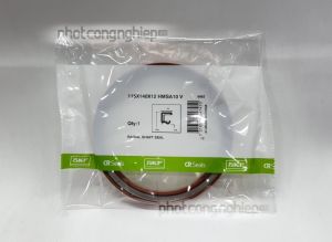 Phớt 115x140x12 HMSA10 V SKF chính hãng