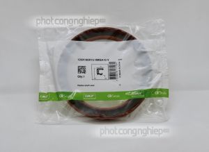 Phớt 125x160x15 HMSA10 V SKF chính hãng