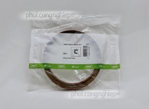 Phớt 140x170x12 HMSA10 V SKF chính hãng