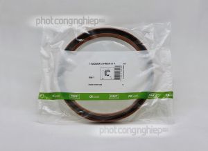 Phớt 170x200x15 HMSA10 V SKF chính hãng