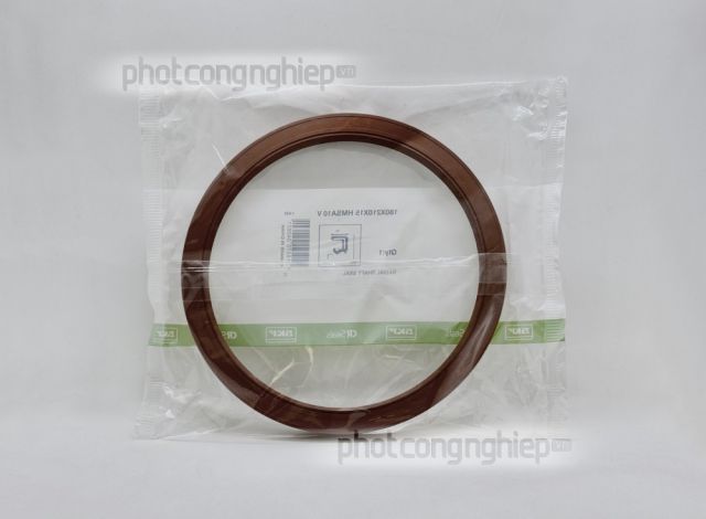 Phớt 180x210x15 HMSA10 V