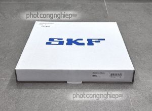 Phớt 260x300x20 HMSA10 V SKF chính hãng