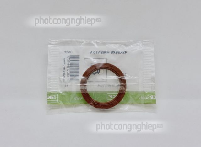 Phớt 42x55x8 HMSA10 V