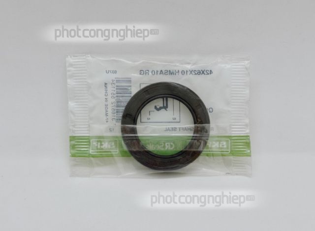 Phớt 42x62x10 HMSA10 RG