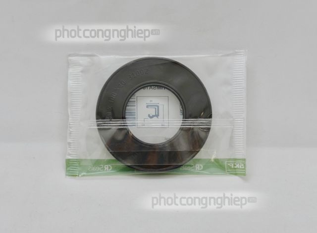 Phớt 60x100x10 HMSA10 RG