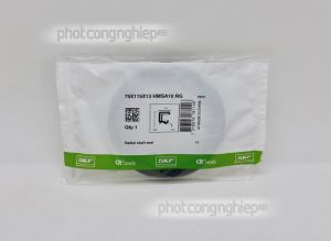 Phớt 75x115x13 HMSA10 RG SKF chính hãng