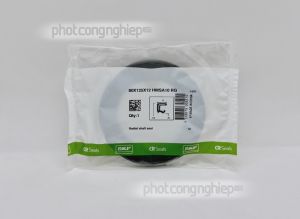 Phớt 80x125x12 HMSA10 RG SKF chính hãng